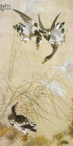 張書旗蘆雁圖 張書旗蘆雁圖