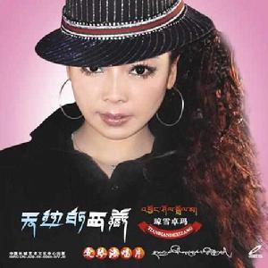 我和你在一起[瓊雪卓瑪演唱歌曲]