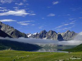 蓮寶葉則 蓮寶葉則