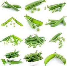 中豌2號 中豌2號