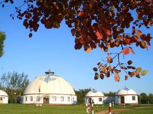 賈戈街道 賈戈街道