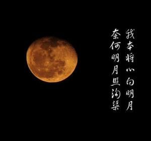 奈何明月照溝渠 奈何明月照溝渠