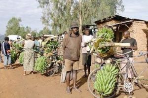 姆巴拉拉區 姆巴拉拉區