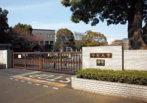 日本千葉大學 日本千葉大學