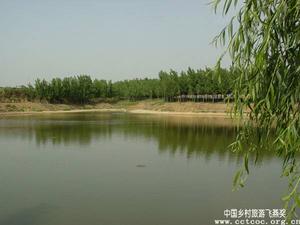 前壩橋村 前壩橋村