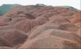 巴西鐵礦 巴西鐵礦