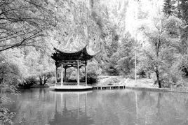 吐魯溝森林公園 吐魯溝森林公園