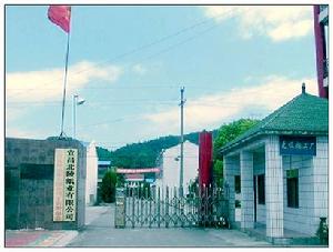 工業經濟強鎮優勢突出