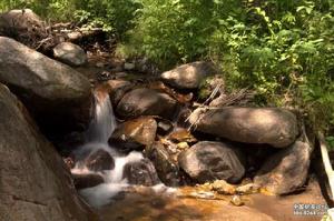 魚龍溝村 魚龍溝村