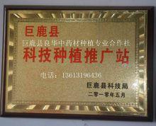 巨鹿縣良華中藥材種植專業合作社