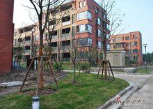 港城滴水湖馨苑實景圖