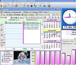 MSD Organizer V8.30