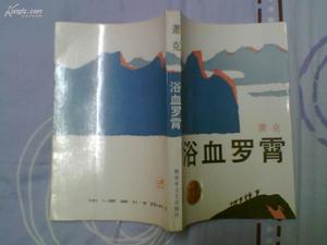 《浴血羅霄》