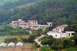 南橋村[廣東省中山市五桂山區南橋村]