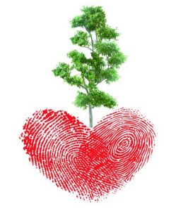 心靈減壓秘籍 心靈減壓秘籍