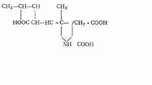 失憶性貝毒 失憶性貝毒