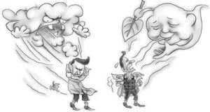 鯰魚法則 鯰魚法則