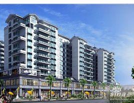 金綠洲翠園 金綠洲翠園