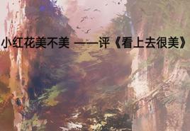 小紅花美不美 ——評看上去很美 小紅花美不美 ——評看上去很美