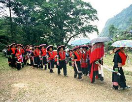 女大當婚,男大當嫁 女大當婚,男大當嫁