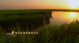安徽蕭縣黃河故道省級自然保護區