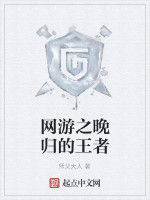 網遊之晚歸的王者 網遊之晚歸的王者