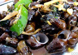 爆炒山坑螺 爆炒山坑螺