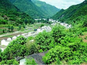 背里樹村 背里樹村