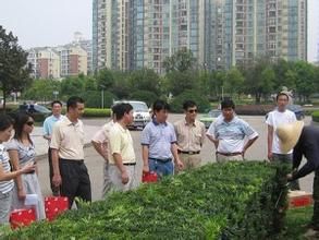 鹹嘉湖社區 鹹嘉湖社區