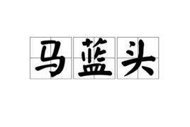 馬藍頭 馬藍頭