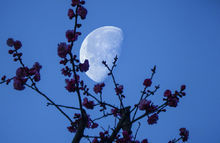 七里坪風景美圖