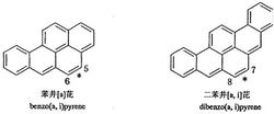 圖4 複雜多環芳烴