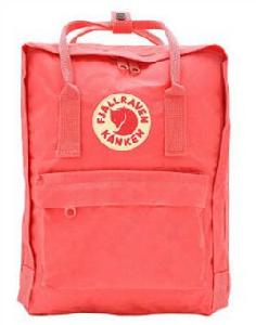 瑞典北極狐 瑞典北極狐