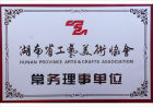湖南省工藝美術協會常務理事單位