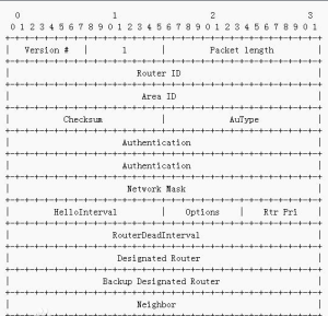 Hello包的格式如下