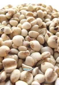 生薏苡仁 生薏苡仁