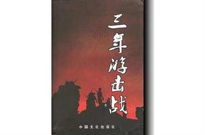 三年游擊戰 三年游擊戰