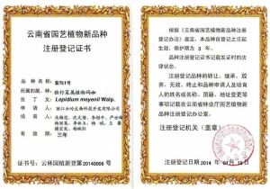 紫瑪1號品種登記證