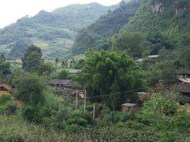 上新店村 上新店村