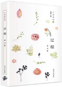 小說家的詩:過程 小說家的詩:過程