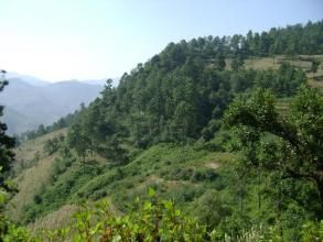 蚌戛老寨村 蚌戛老寨村