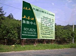 風簸山油茶基地 風簸山油茶基地