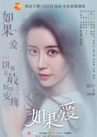 如果，愛[2017年張哲書執導電視劇]