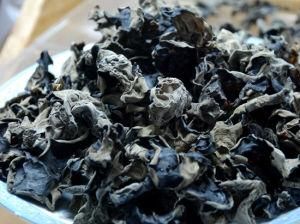 黑木耳 黑木耳
