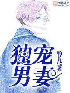 獨寵男妻 獨寵男妻