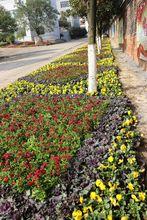 郴州市第十五中學