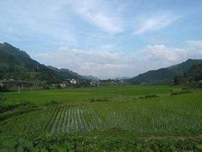 八良田村 八良田村