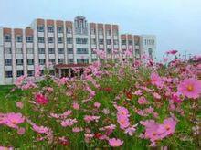 臨夏縣土橋中學校園景色