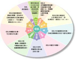 碳水化合物 碳水化合物