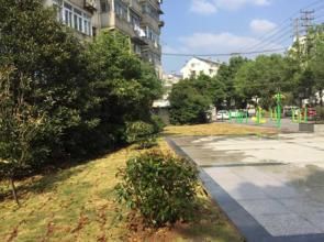 新華五村社區 新華五村社區